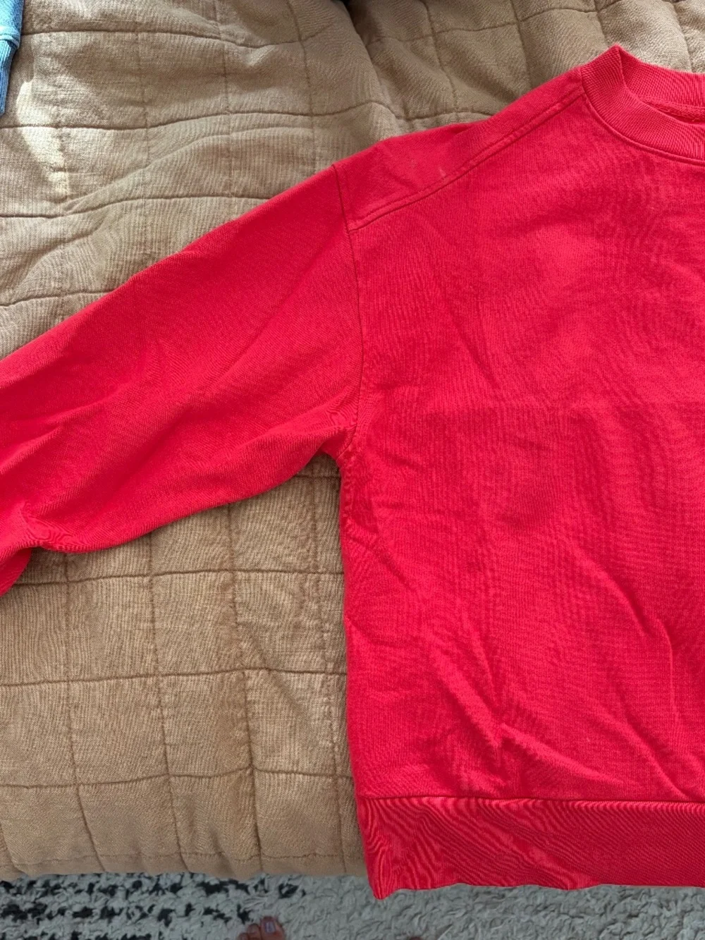 Everlane Organic Cotton Crewneck - Picture 2 of 5